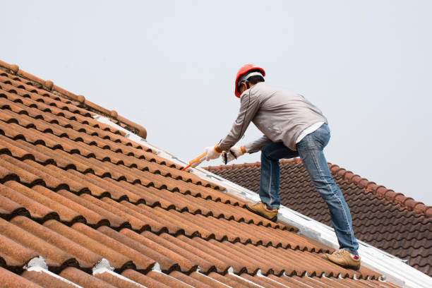 Best Rubber Roofing (EPDM, TPO)  in Arp, TX